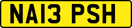 NA13PSH
