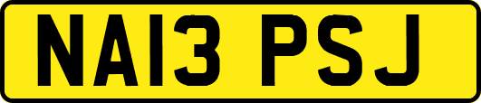 NA13PSJ