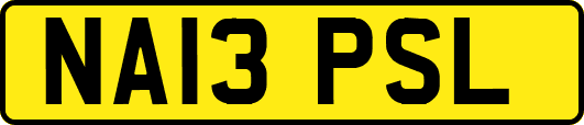NA13PSL