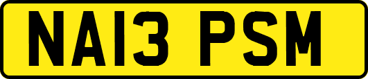 NA13PSM