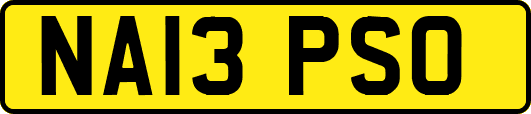 NA13PSO