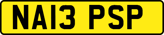 NA13PSP