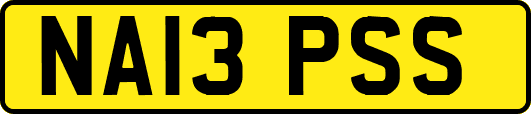 NA13PSS