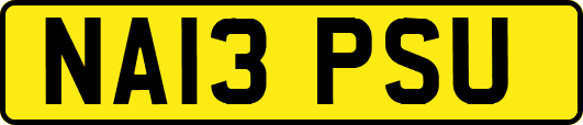 NA13PSU