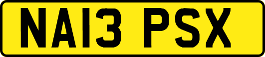 NA13PSX