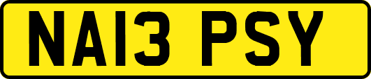 NA13PSY