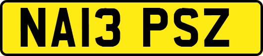 NA13PSZ