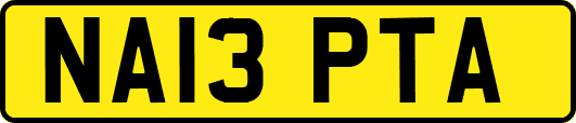 NA13PTA