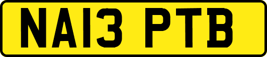 NA13PTB