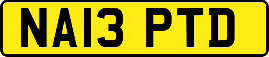 NA13PTD