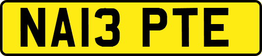 NA13PTE
