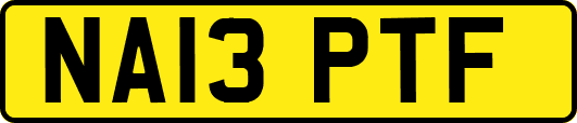 NA13PTF