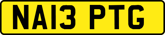 NA13PTG