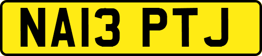 NA13PTJ