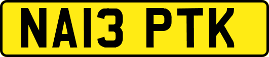 NA13PTK