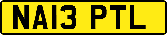 NA13PTL