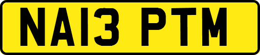 NA13PTM