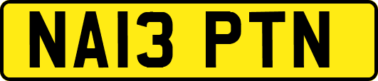 NA13PTN
