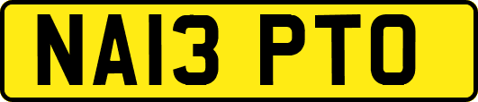 NA13PTO