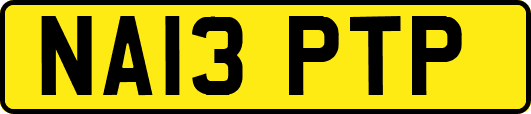 NA13PTP