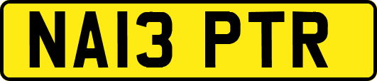 NA13PTR