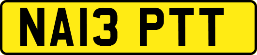 NA13PTT