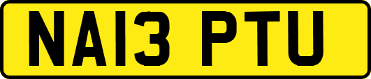 NA13PTU
