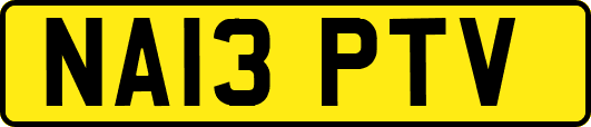 NA13PTV