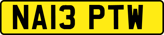 NA13PTW