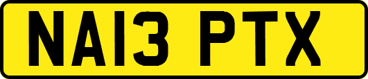 NA13PTX