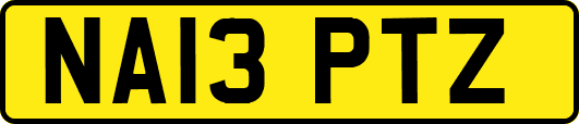 NA13PTZ