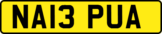 NA13PUA