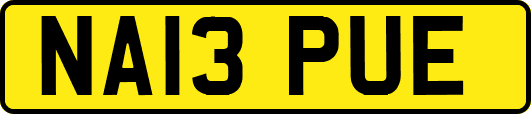 NA13PUE