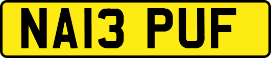 NA13PUF