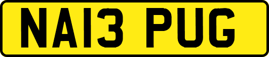 NA13PUG