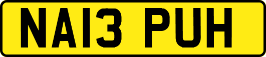 NA13PUH
