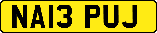 NA13PUJ