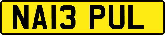 NA13PUL