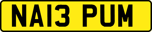 NA13PUM
