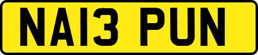 NA13PUN