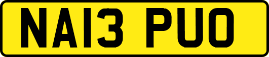 NA13PUO