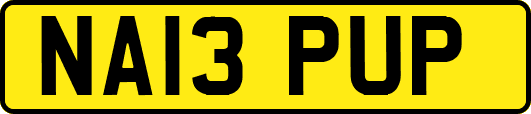 NA13PUP