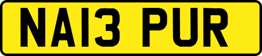 NA13PUR