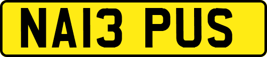 NA13PUS