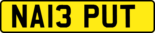 NA13PUT