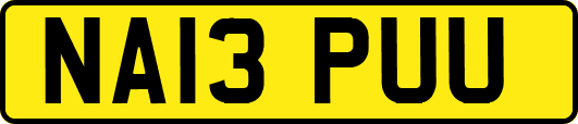 NA13PUU