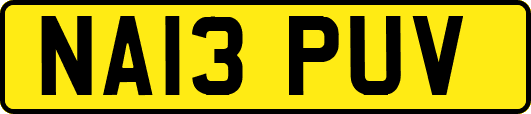 NA13PUV