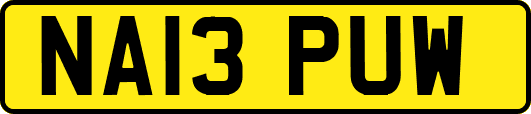 NA13PUW
