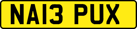 NA13PUX
