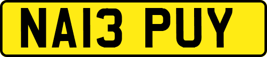 NA13PUY